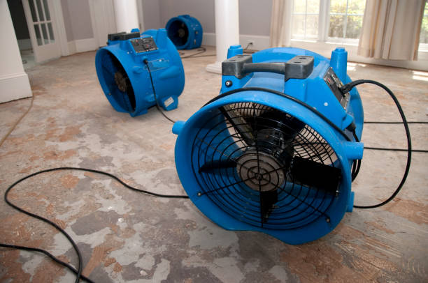 Best Flood restoration services  in Magna, UT