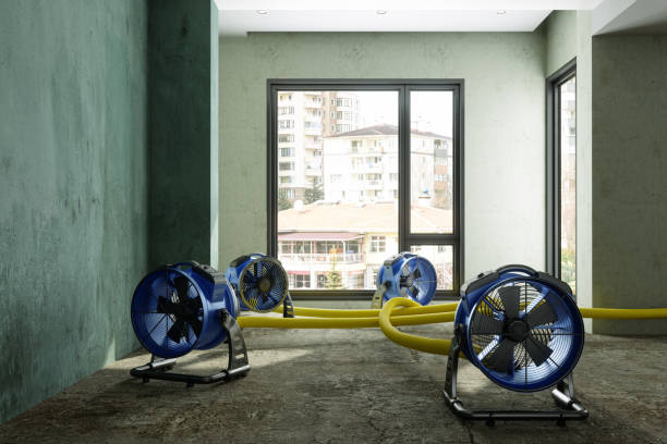Best Water damage restoration near me  in Magna, UT